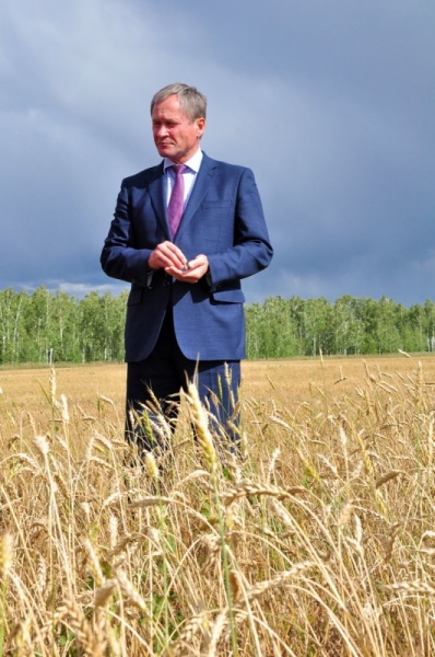 Алексей Кокорин поле пшеница Зауралье|Фото: пресс-служба губернатора Курганской области