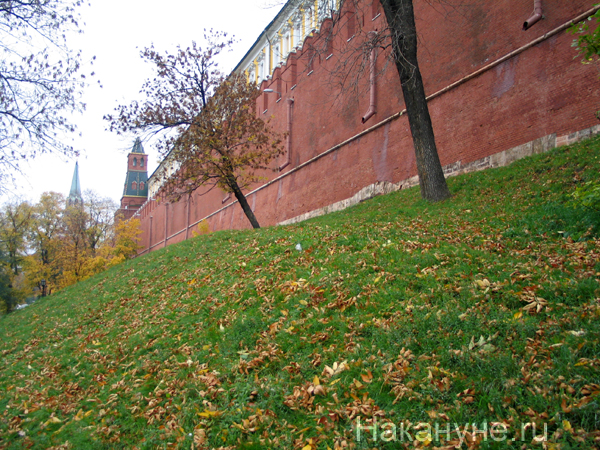 москва кремль александровский сад 100м | Фото: Накануне.ru