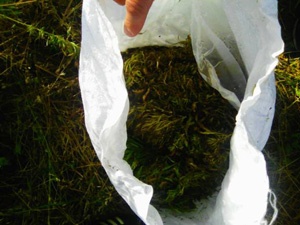 мешки конопля наркотики|Фото: УФСКН России по Курганской области