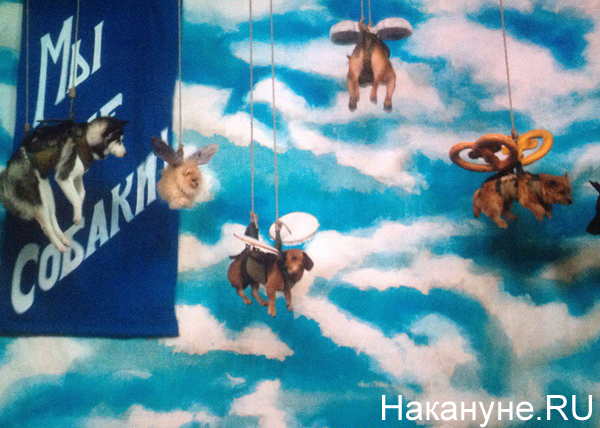 "Ангелы революции", премьера, кино, Федорченко|Фото: Накануне.RU