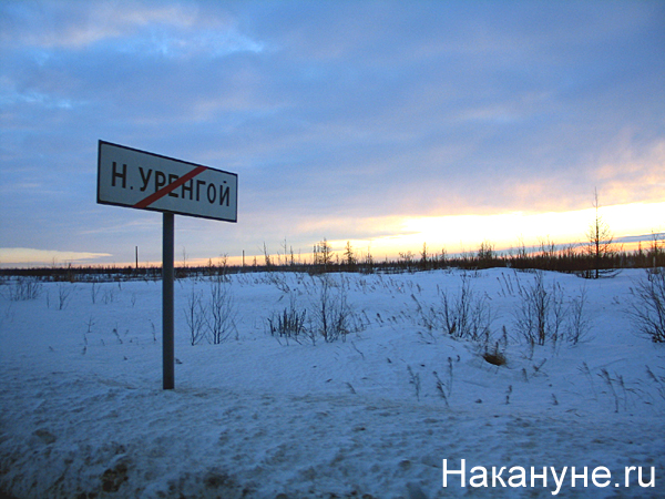 новый уренгой дорожный указатель | Фото: Накануне.ru