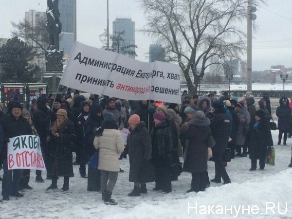 митинг против Умниковой|Фото:Накануне.RU