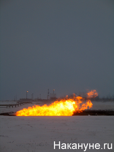 ямбург газовый факел | Фото: Накануне.ru