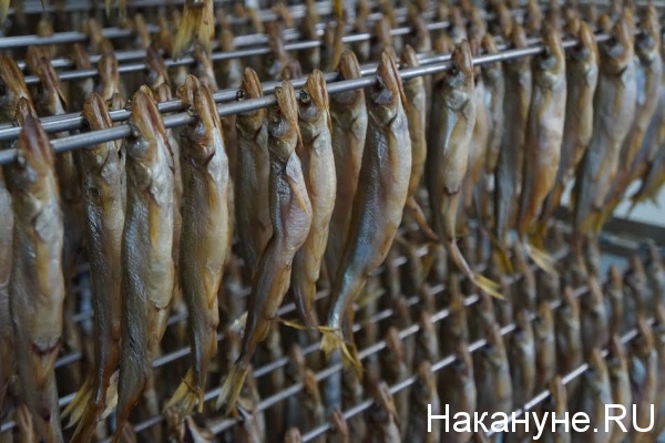 Ямал-продукт, рыба, консервы|Фото: Накануне.RU