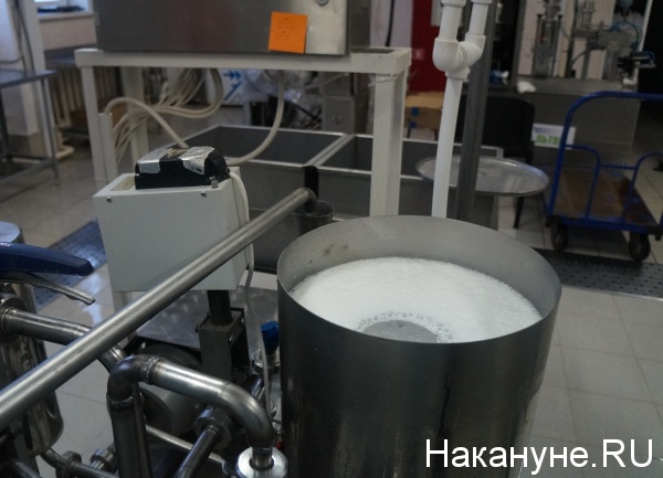 Салехардагро, молоко, производство молока|Фото: накануне.ru