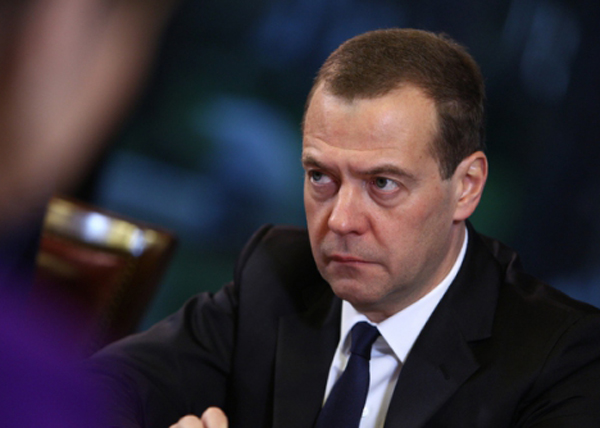 Медведев, ОНФ, встреча|Фото: ОНФ