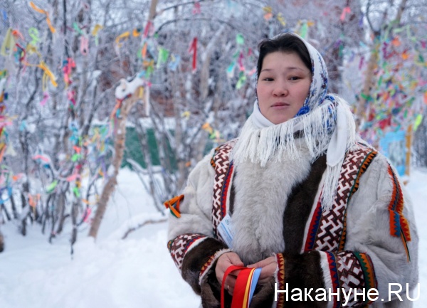 КМНС, морошка, клюква, коренные народы, ненцы, Горнокнязевск|Фото: