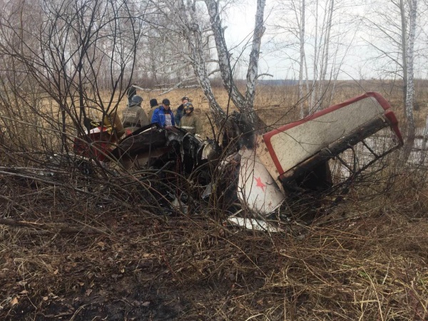 Як-52 самолет падение Челябинская область|Фото: ГУ МЧС РФ по Челябинской области
