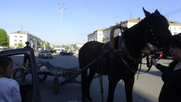 гужевая повозка, телега, конь|Фото: ГУ МВД России по СО